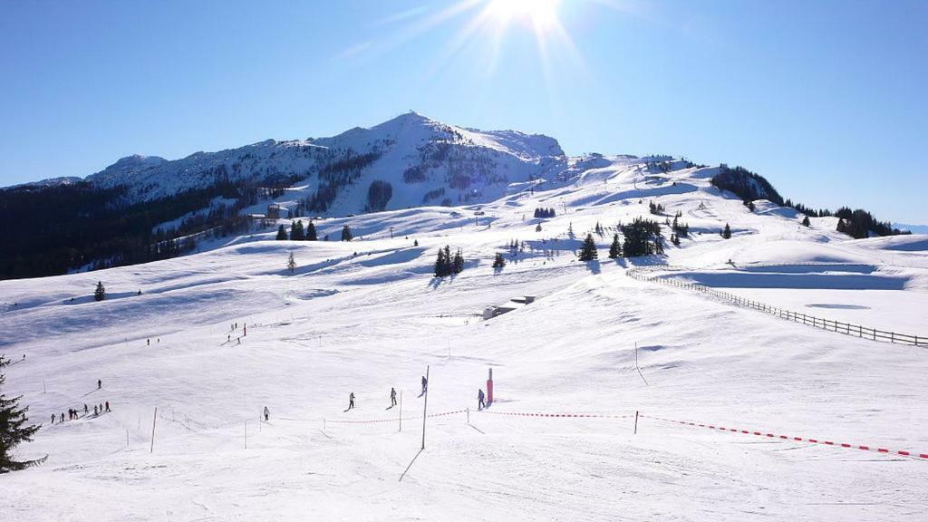 Ferienwohnung Blick Auf Die Berge Pidingerau المظهر الخارجي الصورة